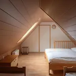 Apartma Pri Bizjaku Apartment Bohinj