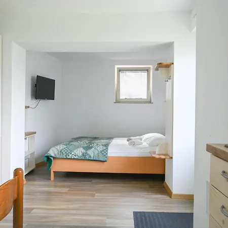 Apartma Pri Bizjaku * ボーヒニ