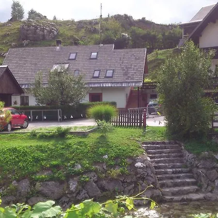 Apartma Pri Bizjaku Apartment *