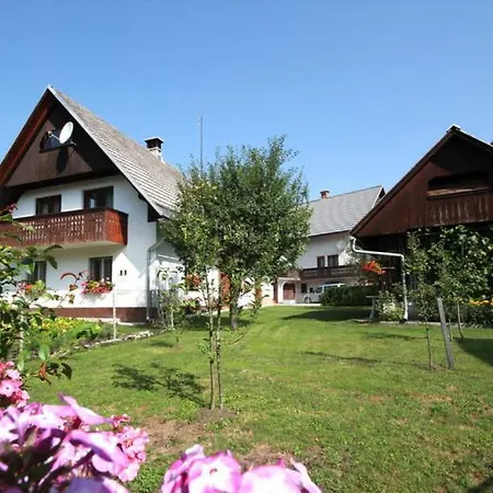 Apartma Pri Bizjaku Apartment Bohinj