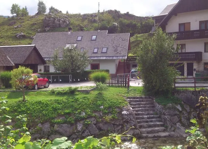 Apartma Pri Bizjaku Daire *